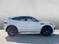 Jaguar E-Pace P250 R-Dynamic SE Alb - thumbnail 7