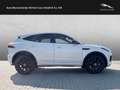 Jaguar E-Pace P250 R-Dynamic SE Weiß - thumbnail 7