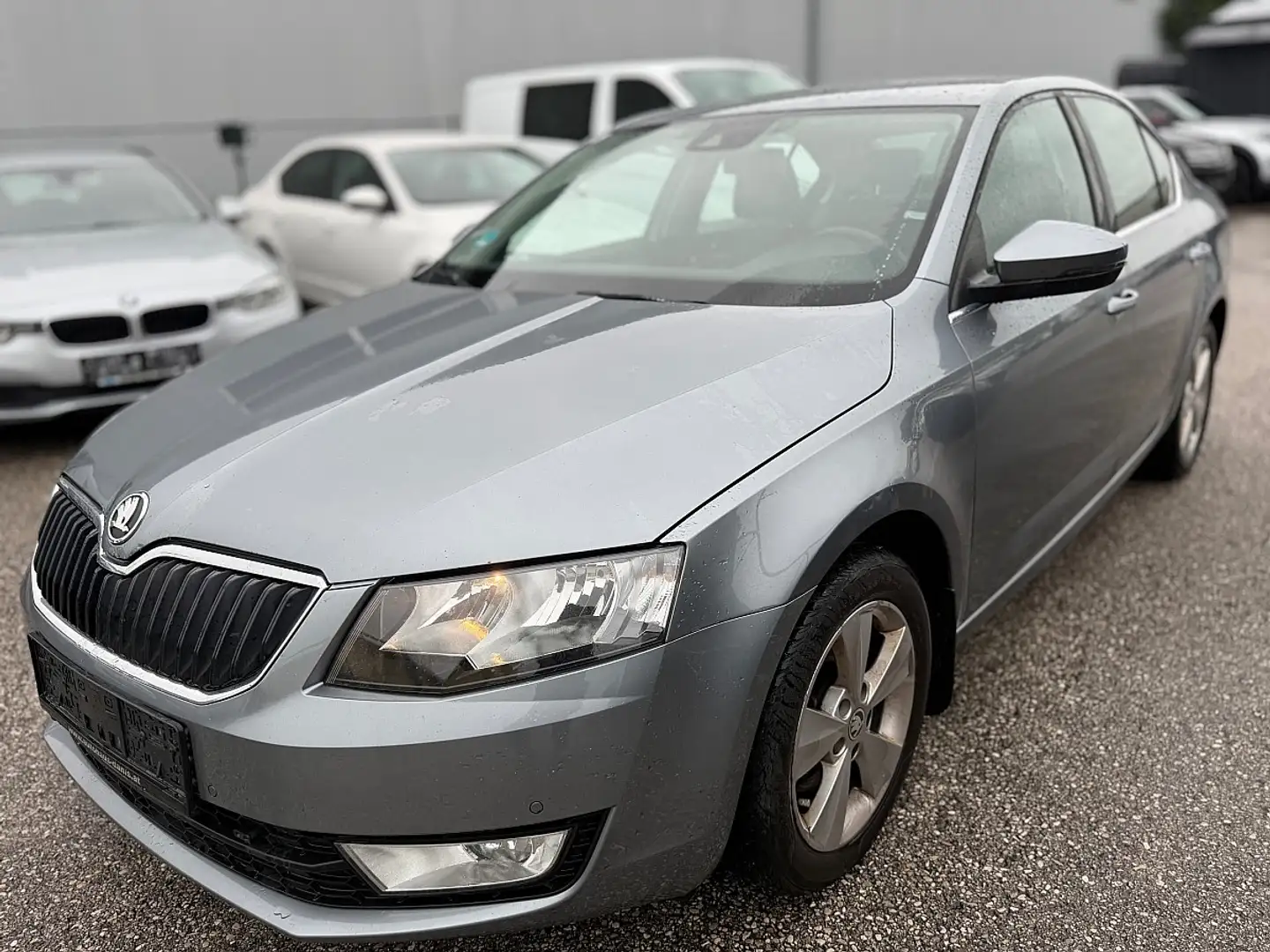 Skoda Octavia *Pickerl 6/2026+4* Grau - 1