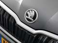 Skoda Kamiq 1.0 TSI Business Edition (Cruise / Carplay / Stoel Grijs - thumbnail 6
