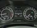 Skoda Kamiq 1.0 TSI Business Edition (Cruise / Carplay / Stoel Grijs - thumbnail 14