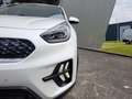 Kia Niro 1.6 GDi PHEV ExecutiveLine Blanc - thumbnail 12