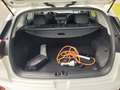Kia Niro 1.6 GDi PHEV ExecutiveLine Blanc - thumbnail 9