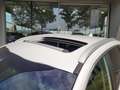 Kia Niro 1.6 GDi PHEV ExecutiveLine Blanc - thumbnail 14