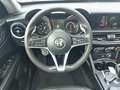 Alfa Romeo Stelvio 2.0 T AWD Super Automaat, panoramadak,trekhaak,cru Zwart - thumbnail 12