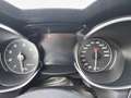 Alfa Romeo Stelvio 2.0 T AWD Super Automaat, panoramadak,trekhaak,cru Zwart - thumbnail 22