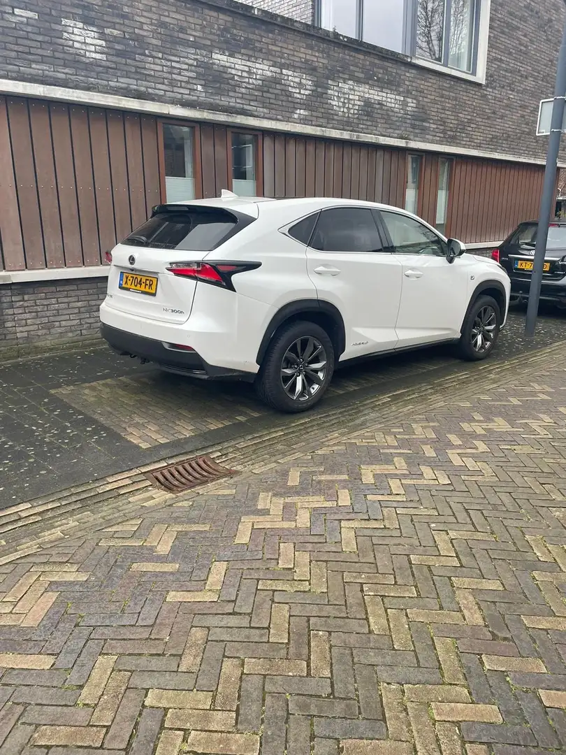 Lexus NX 300h 300h AWD F Sport L. Білий - 1