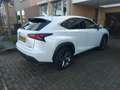 Lexus NX 300h 300h AWD F Sport L. Білий - thumbnail 9