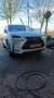 Lexus NX 300h 300h AWD F Sport L. Білий - thumbnail 2