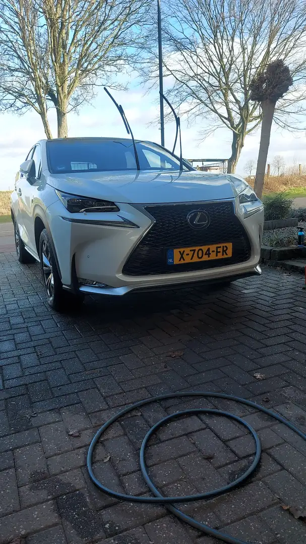 Lexus NX 300h 300h AWD F Sport L. Білий - 2