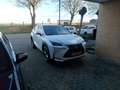 Lexus NX 300h 300h AWD F Sport L. Білий - thumbnail 3