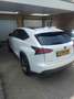Lexus NX 300h 300h AWD F Sport L. Білий - thumbnail 5