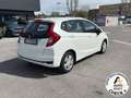 Honda Jazz 1.3 Comfort Connect ADAS CVT Blanco - thumbnail 7