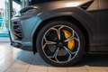 Lamborghini Urus Urus 4.0 V8 auto Gris - thumbnail 9