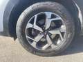 Kia Sportage 1.6 gdi Business Class 2wd 132cv Grau - thumbnail 18