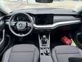 Skoda Octavia 1.5 TSI Selection ACC EHK Kessy Navi Kam Grau - thumbnail 12