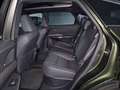 Lexus RX 350 350h Executive Groen - thumbnail 20