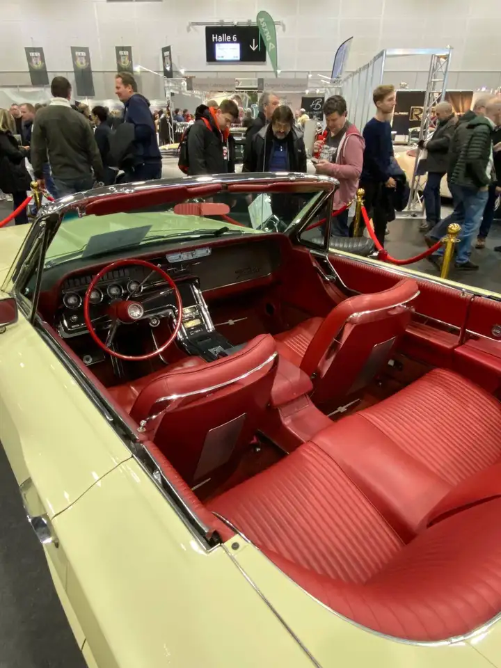 Ford Thunderbird 2-DR Convertible, foto 10