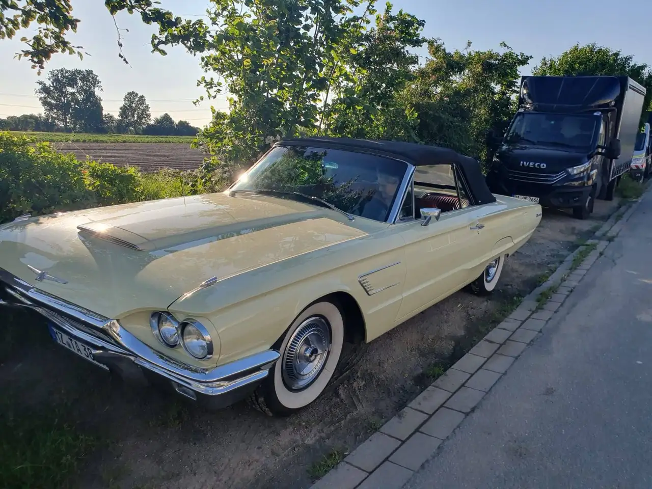 Ford Thunderbird 2-DR Convertible, foto 9