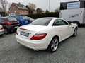 Mercedes-Benz SLK 200 Cabrio Blanco - thumbnail 8