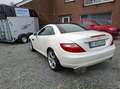 Mercedes-Benz SLK 200 Cabrio Blanco - thumbnail 4