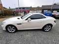 Mercedes-Benz SLK 200 Cabrio Blanco - thumbnail 3