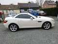 Mercedes-Benz SLK 200 Cabrio Blanco - thumbnail 9
