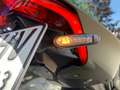 Ducati Streetfighter V2,  955, Storm Green Grün - thumbnail 9