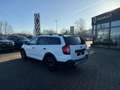 Dacia Logan Stepway TCe90 Navi Kamera 17" Alu Ganzjahresreifen Blanc - thumbnail 7