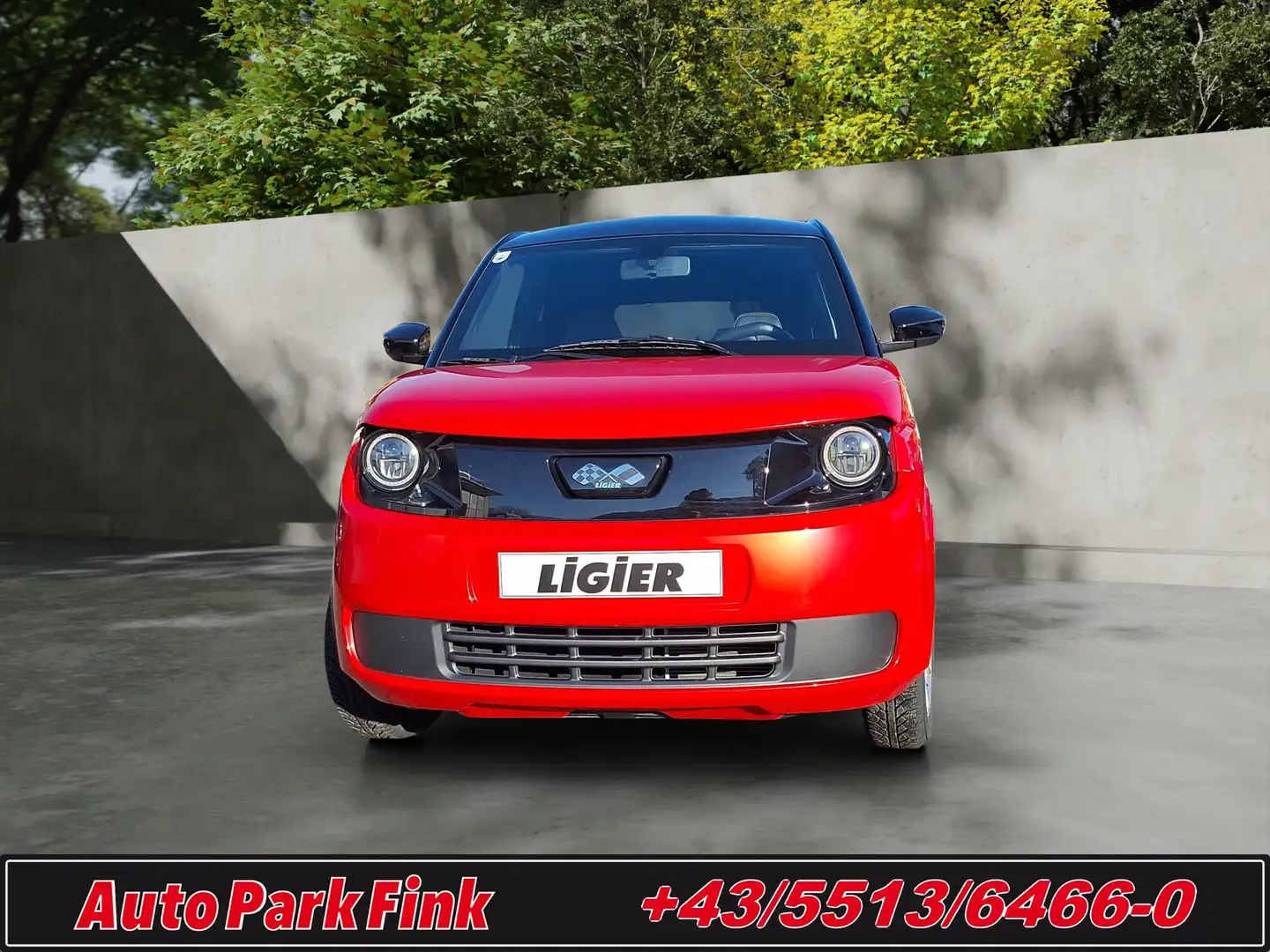 Ligier Myli EPIC L6e Diesel SERVO TA TW CL toledorot/schwarz Rot - 2