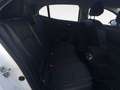 Renault Megane 1.5dCi Blue Business 70kW Blanco - thumbnail 10