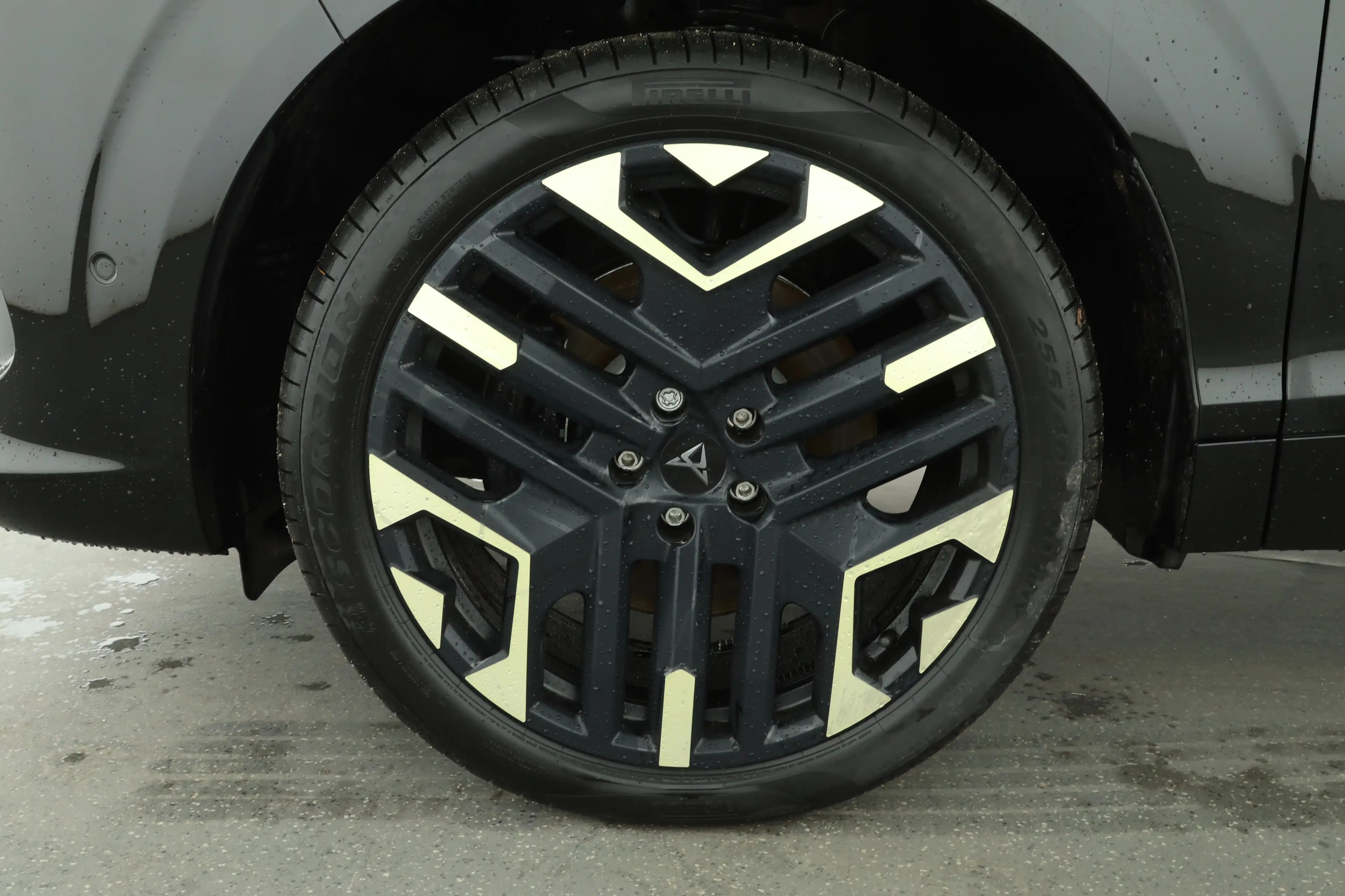 CUPRA Terramar 1.5 e-Hybrid DSG VZ Tribe Edition | AHK | Sennheis — photo 10