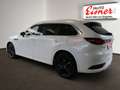 Mazda CX-80 2.5 PHEV Homura Plus BESTPREIS Weiß - thumbnail 12