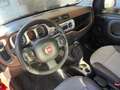Fiat Panda Panda 1.3 mjt 16v Cross 4x4 80cv Rosso - thumbnail 8