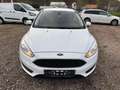 Ford Focus Focus Traveller 1,5 TDCi Trend Trend Weiß - thumbnail 1
