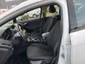Ford Focus Focus Traveller 1,5 TDCi Trend Trend Weiß - thumbnail 9
