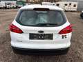 Ford Focus Focus Traveller 1,5 TDCi Trend Trend Weiß - thumbnail 5