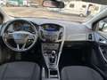 Ford Focus Focus Traveller 1,5 TDCi Trend Trend Weiß - thumbnail 11