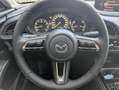 Mazda CX-30 2.5 G140 6AT HOMURA PLUS Leder Grau - thumbnail 14