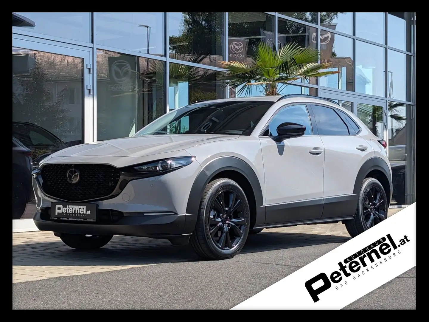 Mazda CX-30 2.5 G140 6AT HOMURA PLUS Leder Grau - 1