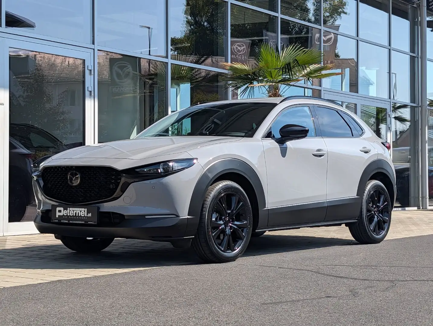 Mazda CX-30 2.5 G140 6AT HOMURA PLUS Leder Grau - 2