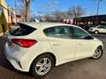 Ford Focus 1.5Ecoblue Trend+ 120 Blanc - thumbnail 7
