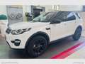 Land Rover Discovery Sport 2.0 TD4 150 LUXURY HSE Bianco - thumbnail 5