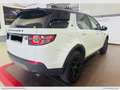 Land Rover Discovery Sport 2.0 TD4 150 LUXURY HSE Bianco - thumbnail 6
