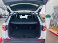 Land Rover Discovery Sport 2.0 TD4 150 LUXURY HSE Bianco - thumbnail 18
