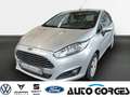 Ford Fiesta Titanium 1.0l EcoBoost +KLIMA+WINTERPAKET+FREISPRE Silber - thumbnail 1