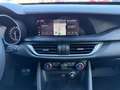 Alfa Romeo Stelvio 2.2 Turbodiesel 190 CV AT8 Q4 Business Blu/Azzurro - thumbnail 13