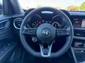 Alfa Romeo Stelvio 2.2 Turbodiesel 190 CV AT8 Q4 Business Blu/Azzurro - thumbnail 14