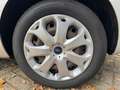 Ford Focus 1.6 Trend Grau - thumbnail 15