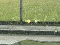 BMW X5 xDrive30d 48V Aut.M-Sport*LASER*RADAR*AHK*Displ... Schwarz - thumbnail 38